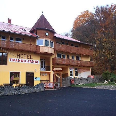 Vila Transilvania Balvanyos Exterior foto